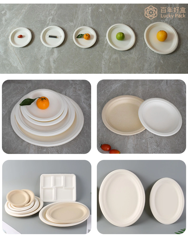 Biodegradable Compostable Disposable Eco Friendly Sugarcane Bagasse Dinnerware