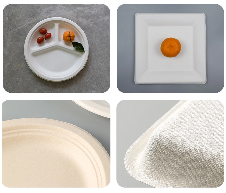 Biodegradable Compostable Disposable Eco Friendly Sugarcane Bagasse Dinnerware